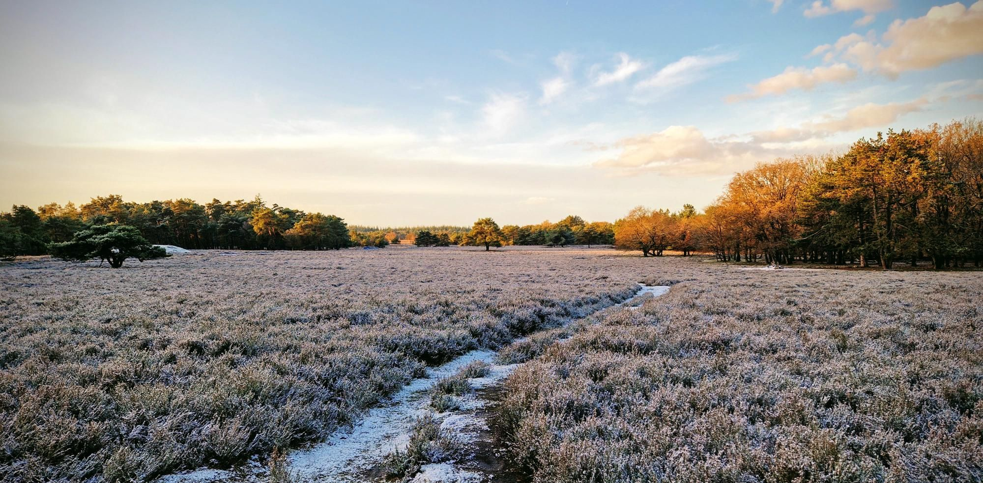 Noorderheide Retreat: A once-in-a-career opportunity, thanks to the Elise Mathilde Foundation!