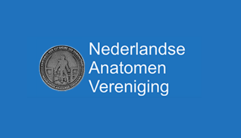 Highlights from the Dutch anatomical society (NAV)